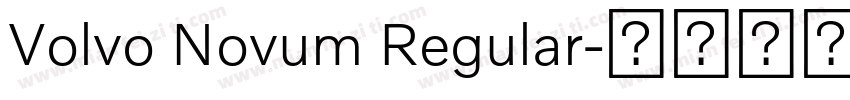 Volvo Novum Regular字体转换